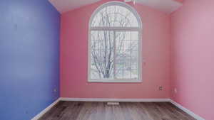 Spare room featuring dark wood-style floors, lofted ceiling, and healthy amount of natural light