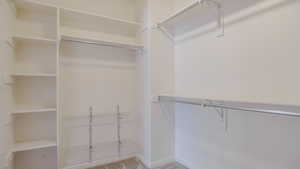 Spacious closet featuring carpet flooring