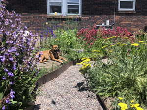 Exterior view of brick siding