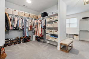 Spacious closet featuring light carpet