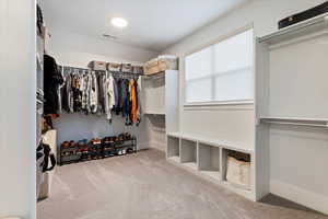 Walk in closet with light colored carpet