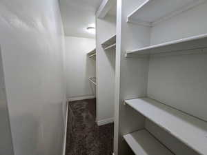 Walk in closet featuring dark carpet