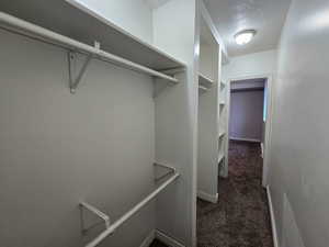Walk in closet featuring dark colored carpet
