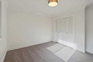 Unfurnished bedroom featuring carpet flooring, crown molding, and a closet