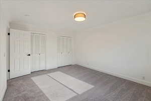 Unfurnished bedroom featuring two closets, carpet floors, and crown molding