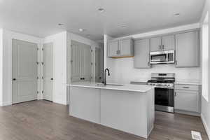 Kitchen with stainless steel appliances, gray cabinets, light wood-type flooring, an island with sink, and recessed lighting