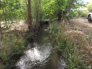 Stream that runs thru the property