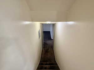 Staircase featuring carpet and electric panel