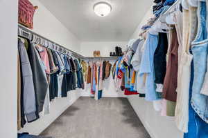 Expansive closet with built in shelving