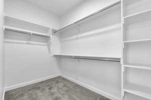 Walk in closet featuring light colored carpet