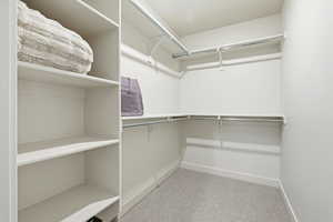 Spacious closet featuring light carpet