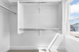 Walk in closet with carpet floors