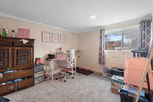 Office area featuring carpet floors and crown molding