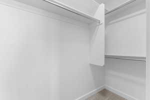 Walk in closet featuring light colored carpet