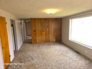 Spare room with wooden walls, a textured ceiling, and carpet floors