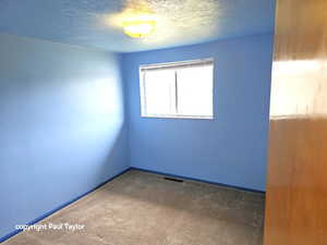 Carpeted spare room with a textured ceiling and baseboards