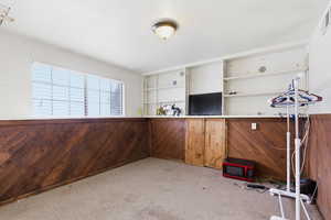 Interior space featuring built in shelves, wood walls, wainscoting, and light colored carpet