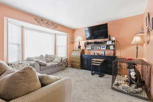Living area with light colored carpet