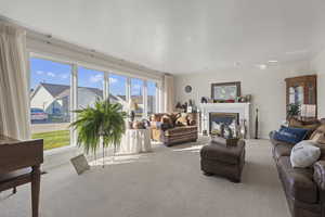 Carpeted living room with a glass covered fireplace and a residential view