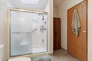 Full bathroom with a stall shower, carpet floors, and a skylight