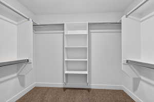 Walk in closet featuring carpet floors