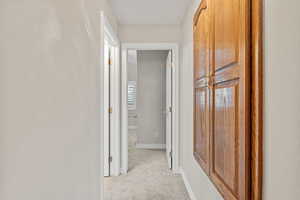 Hall with light colored carpet and baseboards