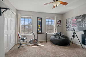 Exercise room featuring carpet flooring, healthy amount of natural light, and ceiling fan