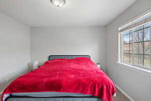 Bedroom with baseboards and carpet floors