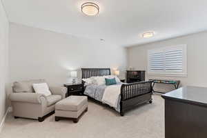Bedroom with light colored carpet