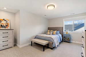 Bedroom with light colored carpet