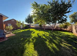 Back yard landscaping