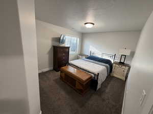 Bedroom with carpet flooring and a textured ceiling