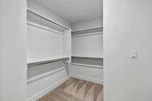 Spacious closet featuring light colored carpet