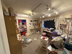 Game room featuring carpet floors and track lighting