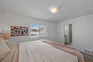 Bedroom with carpet floors and connected bathroom