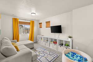 Living area featuring carpet floors and a textured ceiling