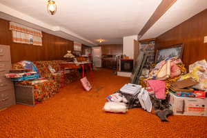 Recreation room with wood walls and carpet flooring