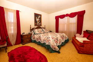 Bedroom with carpet