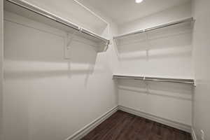 Spacious closet featuring dark wood-style flooring