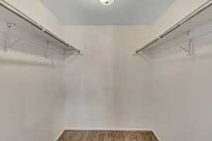 Spacious closet with carpet floors