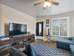 #31 (Upstairs 1-bedroom): Carpeted living area with crown molding and a ceiling fan