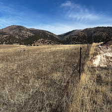 Property line with existing development butting to it.