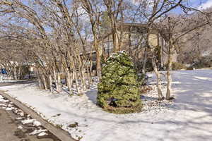 View of yard layered in snow