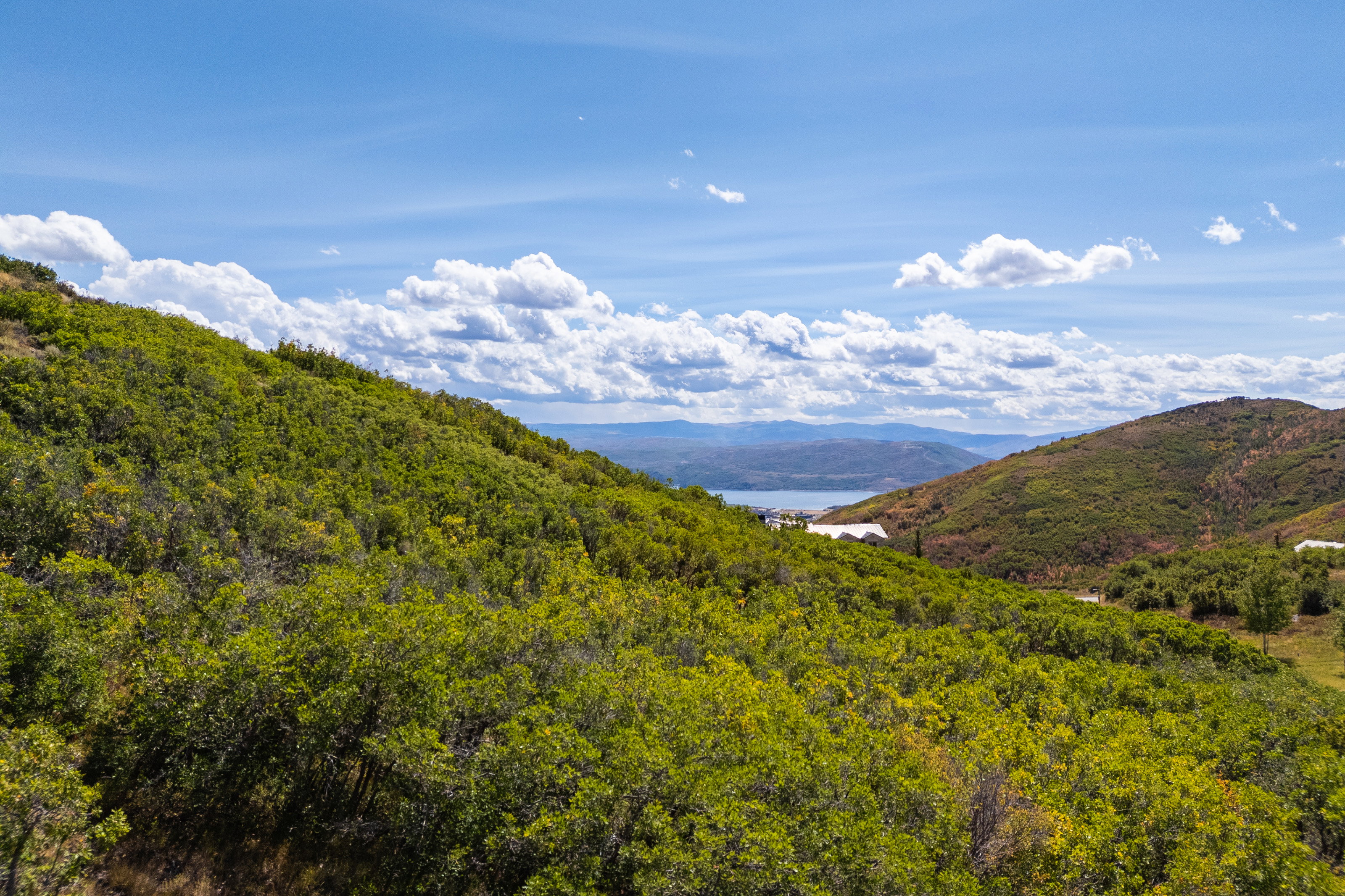 Mountain view