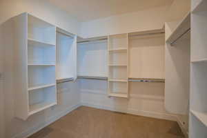 Walk in closet with light carpet