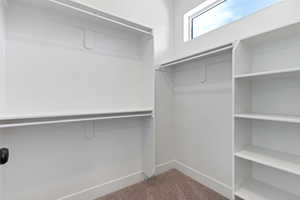 Walk in closet with carpet