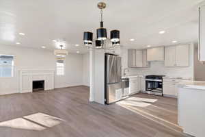 Kitchen with stainless steel appliances, recessed lighting, light wood finished floors, open floor plan, and a fireplace