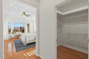 Bedroom featuring a tray ceiling, light wood finished floors, a ceiling fan, and recessed lighting