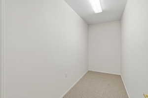 Unfurnished room featuring light carpet and a textured ceiling