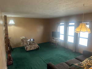 Carpeted living room with a textured ceiling and baseboards